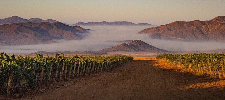 Ensenada